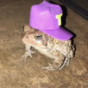 Meet your Posher, Gia